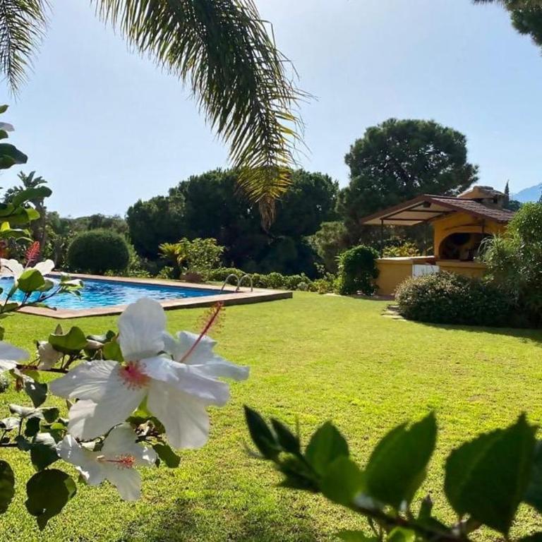 Villa El Higueral - Villa - 8