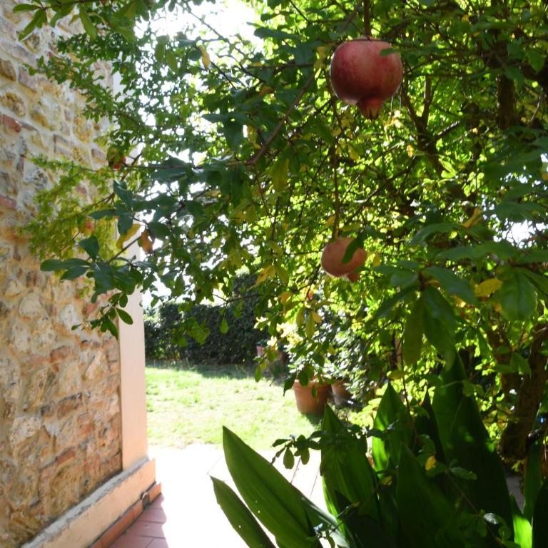 Podere Le Monache - Appartamento con 2 Camere da Letto - 15