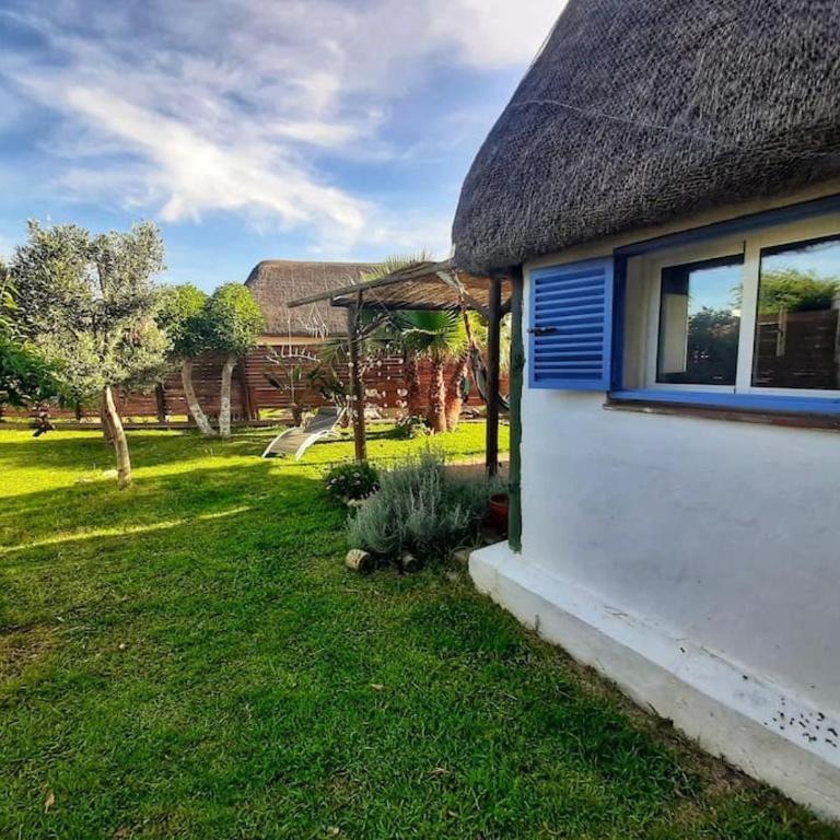 Luca. Exótico bungalow en la playa - Casa con 1 dormitorio - 35