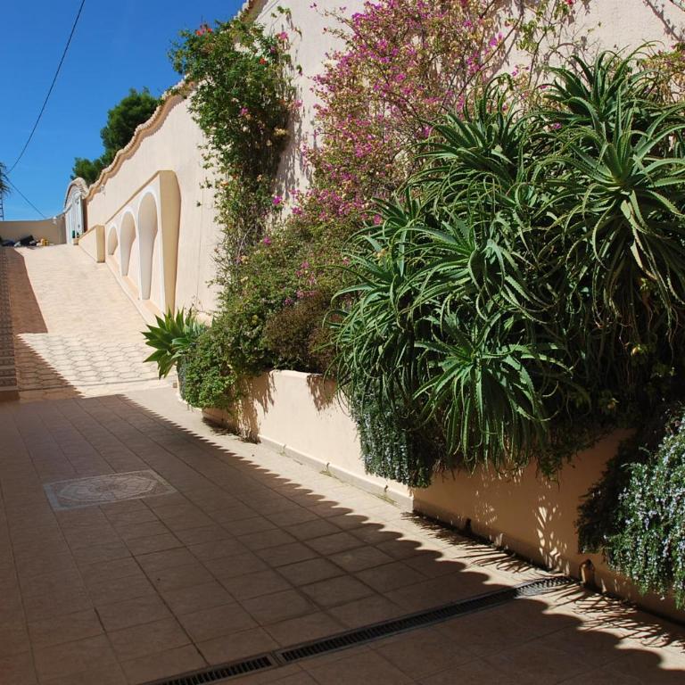 Seaview whole villa - Villa - 82