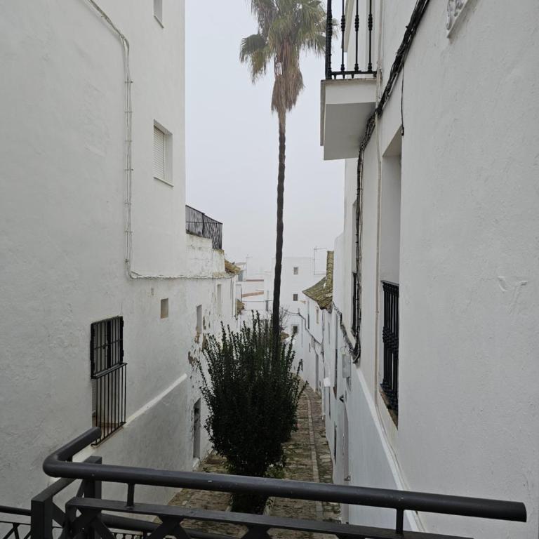 Casa Negrete - Apartamento de 2 dormitorios - 16
