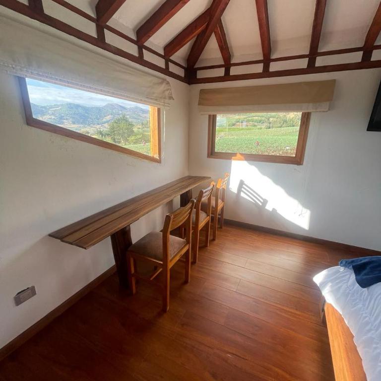 Apartamento San José - Apartamento de 1 dormitorio - 3