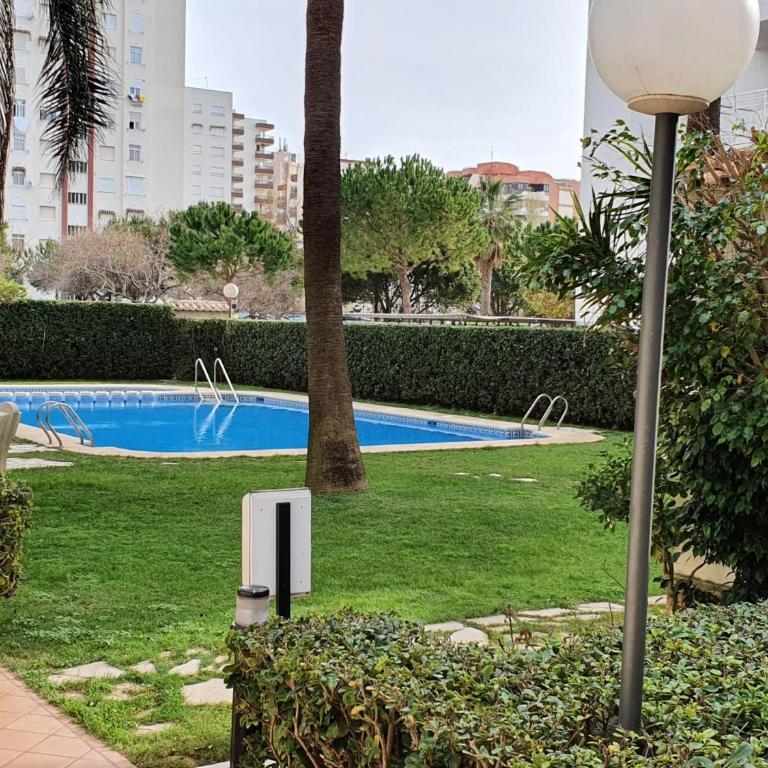 Apartamento Norte Gandia: 3 dormitorios, terraza, piscina y cerca de la playa - ES-314-14 - Apartamento - 31