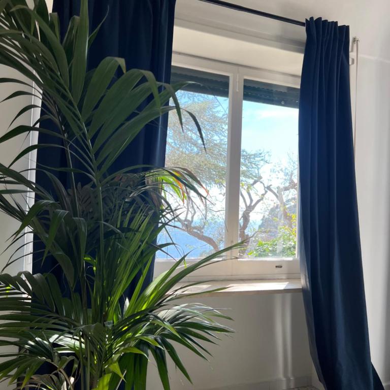 Casa Bella Capri - Appartamento con 3 Camere da Letto - 10