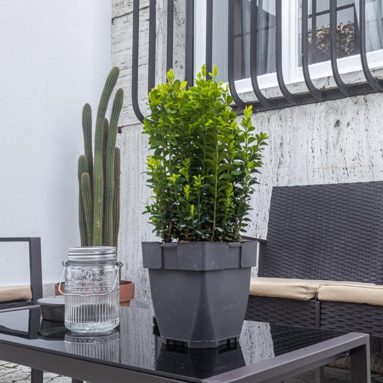 [Flaminio * * * * *] - Loft con Giardino - Appartamento - 5