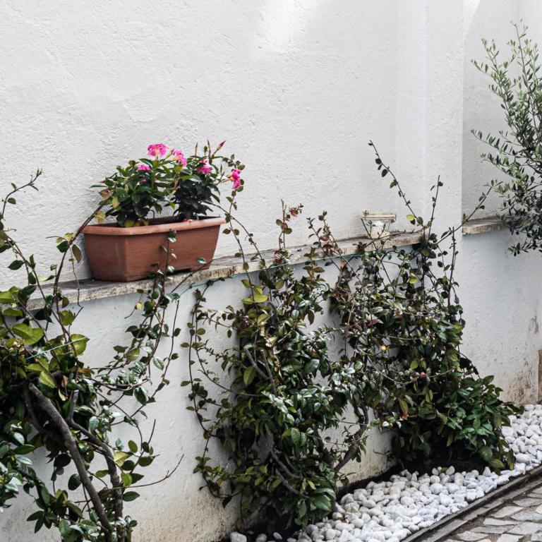 [Flaminio * * * * *] - Loft con Giardino - Appartamento - 6