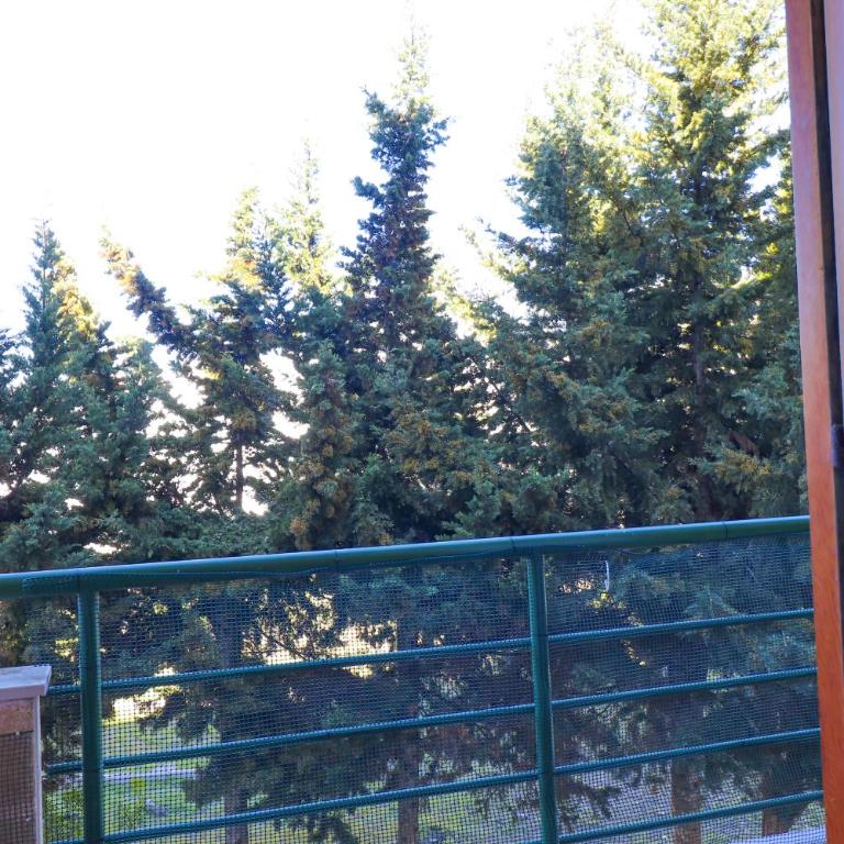 Casa Zara Ideal Stay for Families and Small Groups - Apartment - 15
