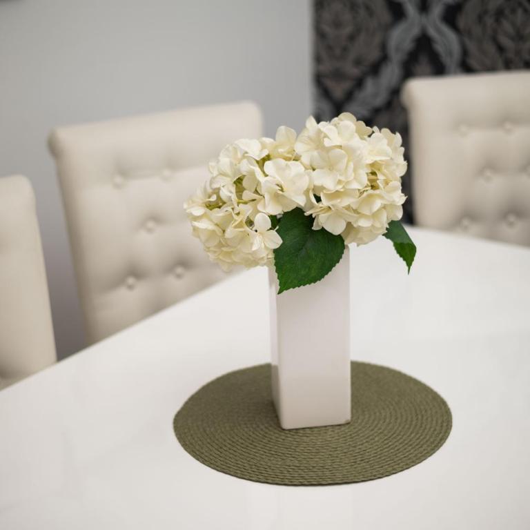 Apartment Primula - One-Bedroom Apartment - 20