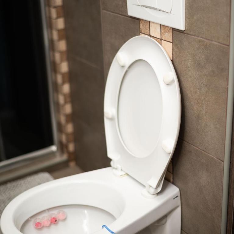 Apartment Primula - One-Bedroom Apartment - 43