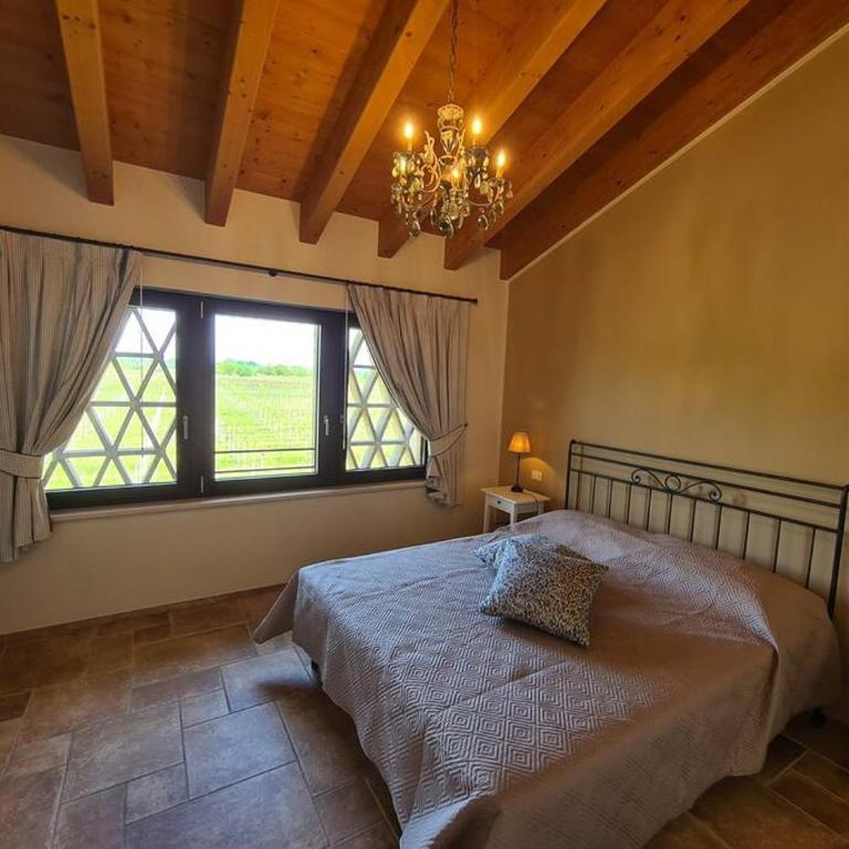 Appartamentino in az agricola Le vigne del Moretto - Appartamento con 1 Camera da Letto - 1