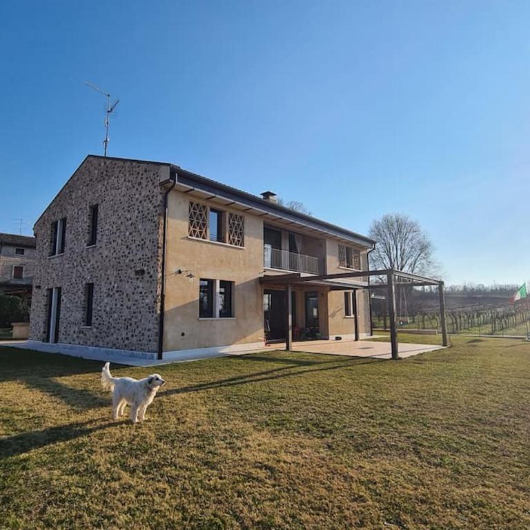Appartamentino in az agricola Le vigne del Moretto - Appartamento con 1 Camera da Letto - 14