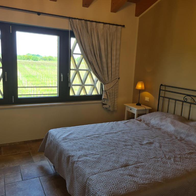 Appartamentino in az agricola Le vigne del Moretto - Appartamento con 1 Camera da Letto - 18