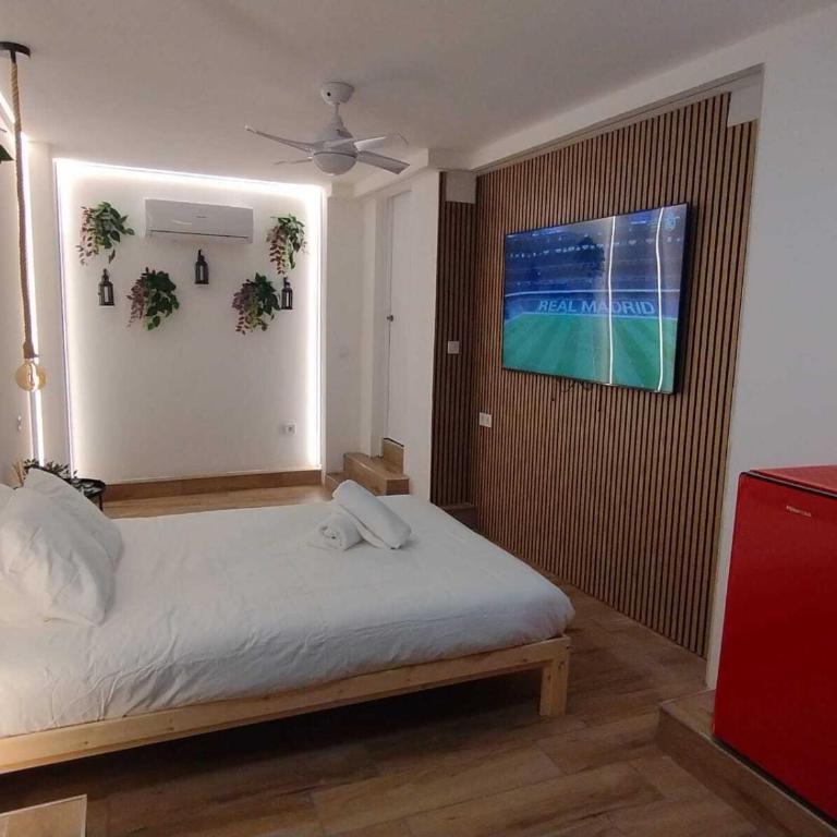 Apartamentos Marqués - Estudio Estándar - 1