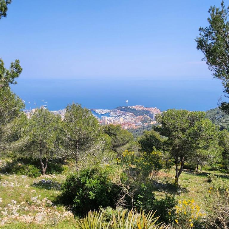 La Pinède de La Turbie - Appt vue mer et montagne - Appartement 2 Chambres - 15