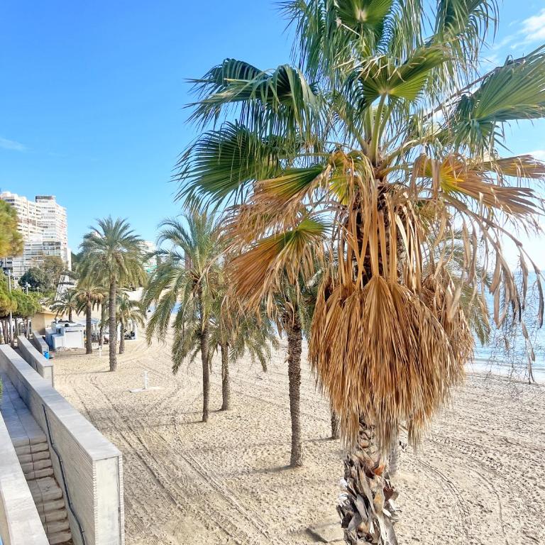 A 100m de la playa. 2 hab. A/C - Apartamento de 2 dormitorios - 6