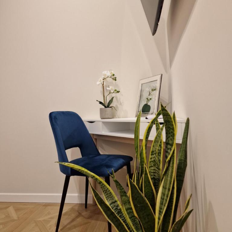 Vacanze Romane Apartments - Vatican City - Appartamento con 1 Camera da Letto - 16
