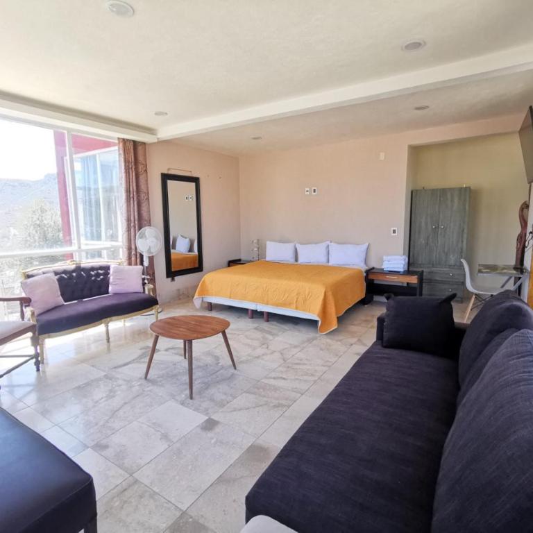 La Vista - Suite with City View - 10