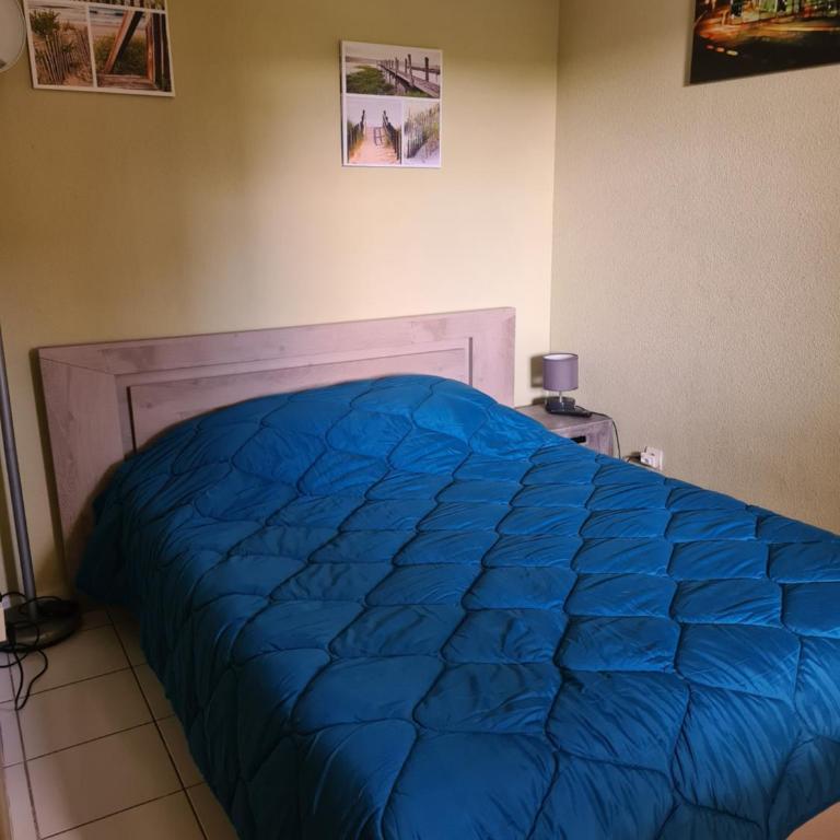 les goelettes - Appartamento con 2 Camere da Letto - 5