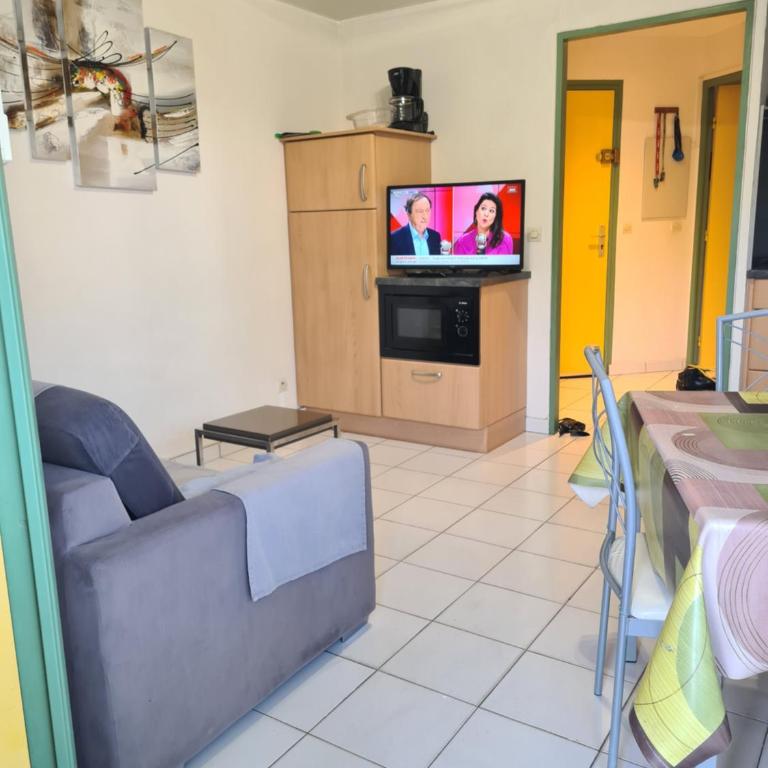 les goelettes - Appartamento con 2 Camere da Letto - 8