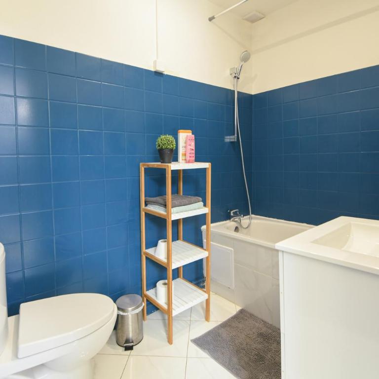 Appartement hypercentre - Nancy - Appartement Standard - 8