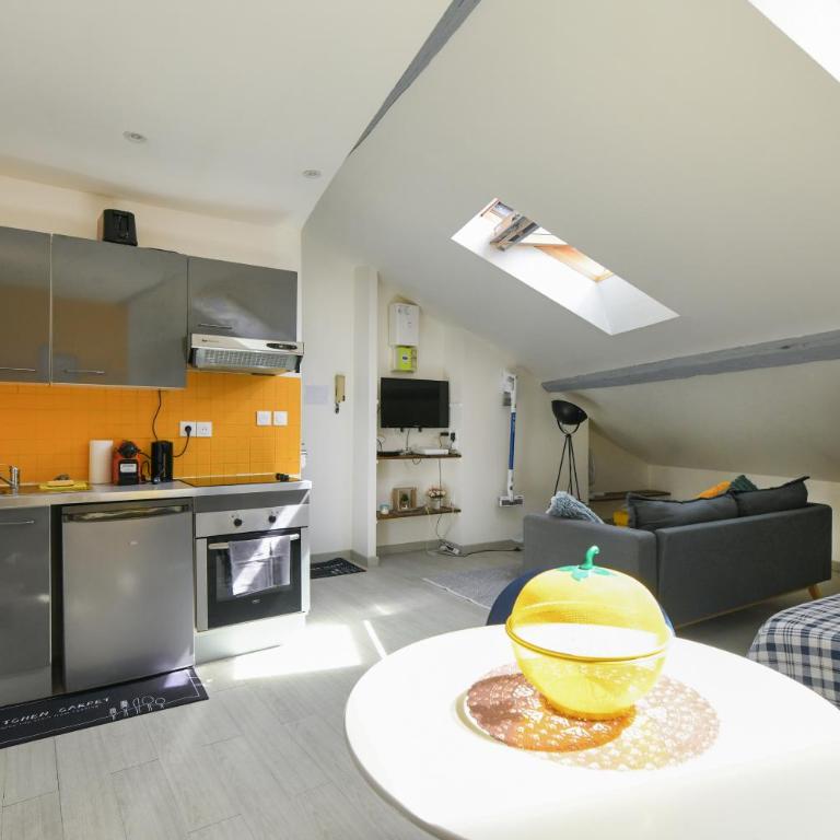 Appartement hypercentre - Nancy - Appartement Standard - 6