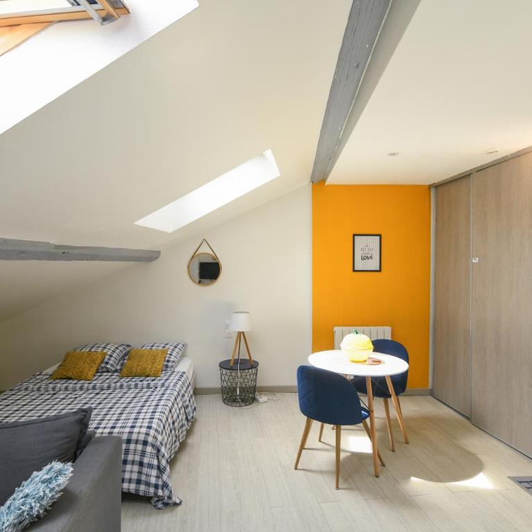 Appartement hypercentre - Nancy - Appartement Standard - 4