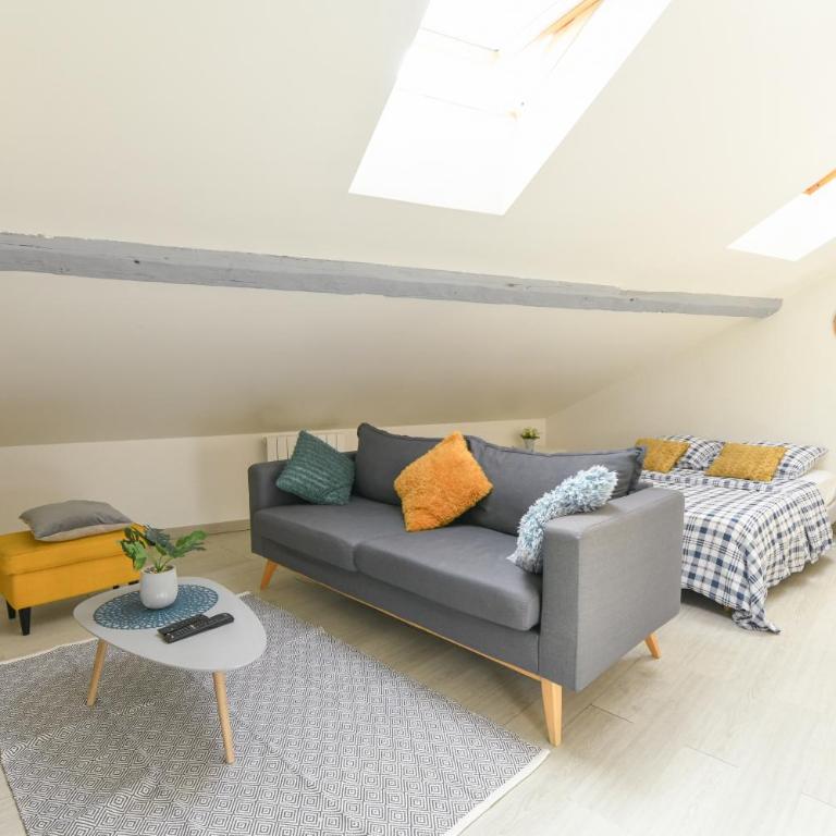 Appartement hypercentre - Nancy - Appartement Standard - 1