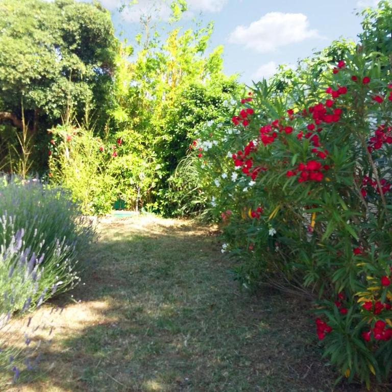 Beautiful Home In Vias - Maison de Vacances 2 Chambres - 9