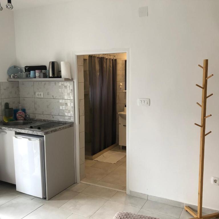 Apartments Samardzic - Studio with Terrace - 8