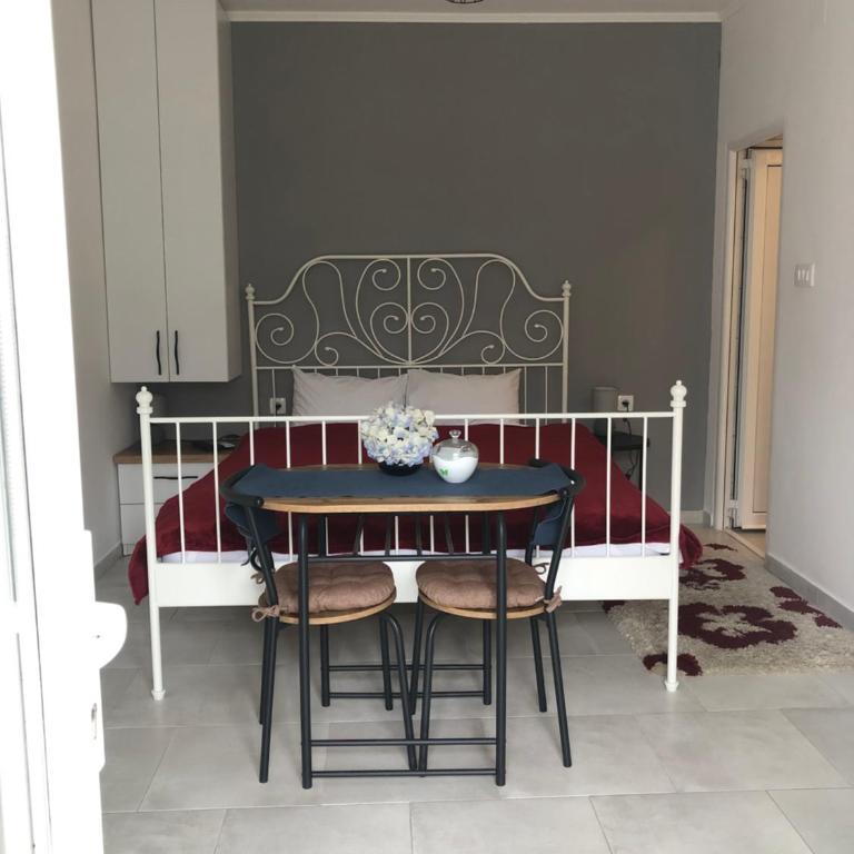 Apartments Samardzic - Studio with Terrace - 7