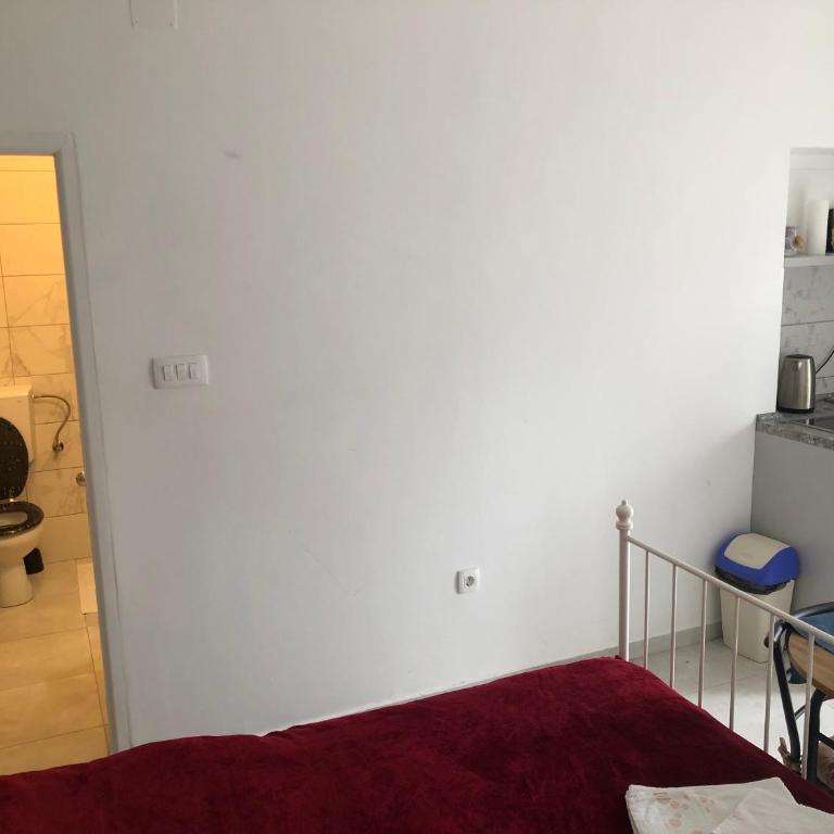 Apartments Samardzic - Studio with Terrace - 4
