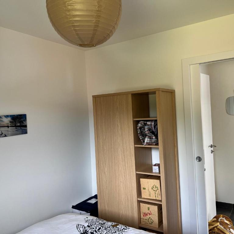 Appartement Neuf VUE LAC 6/8pers - Appartement 3 Chambres - 21