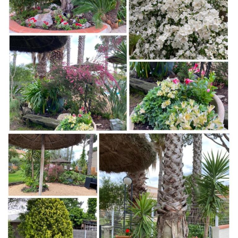 ARGELES sur MER APPT RDC CADAQUES TOUT CONFORT JARDIN PISCINE PARKING WIFI - Appartement 2 Chambres - 13
