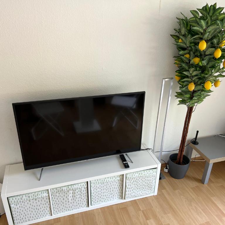 Privatzimmer nähe Residenz und Innenstadt - Vierbettzimmer mit Balkon - 4