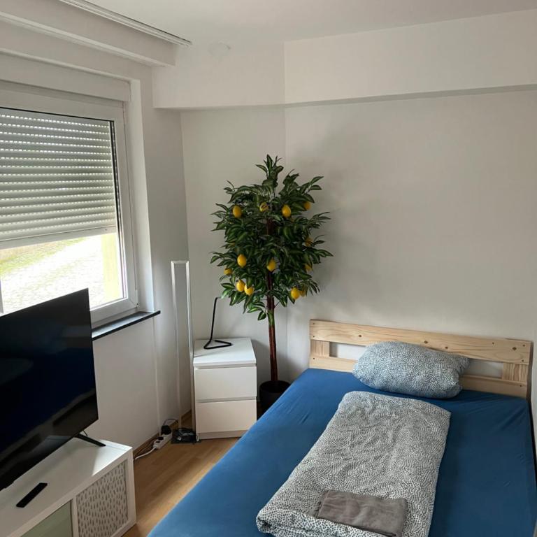 Privatzimmer nähe Residenz und Innenstadt - Doppelzimmer - 5