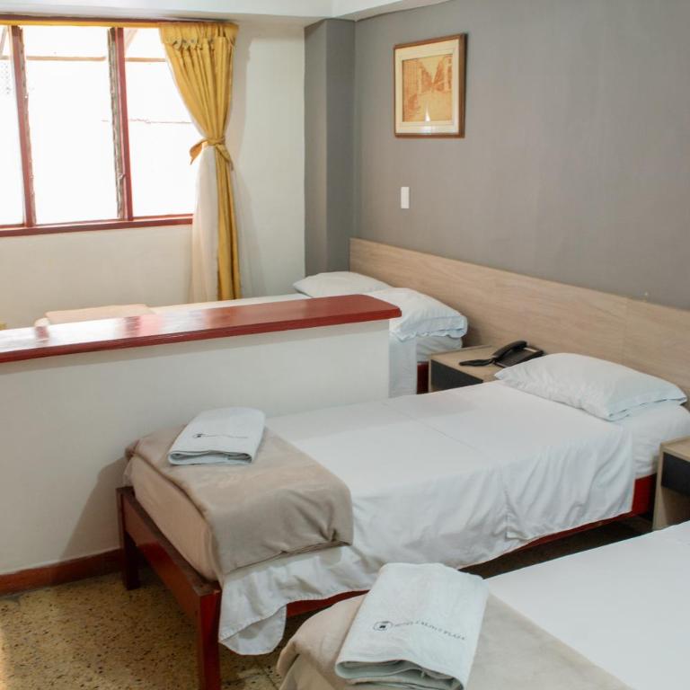 Hotel Caldas Plaza - Standard Twin Room - 4