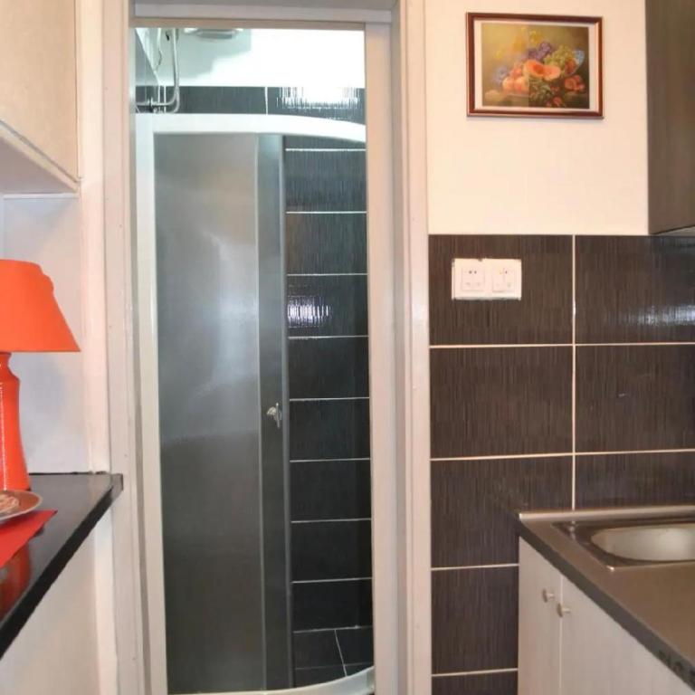 BelgradeCity center-Lekic apart 1 - Apartman - 9