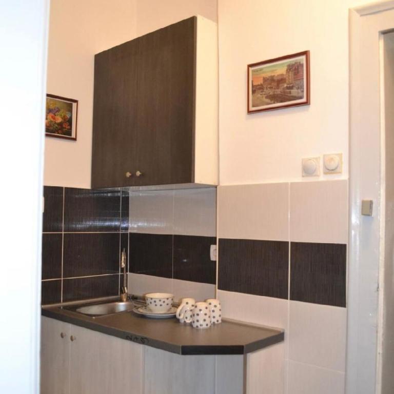 BelgradeCity center-Lekic apart 1 - Apartman - 10