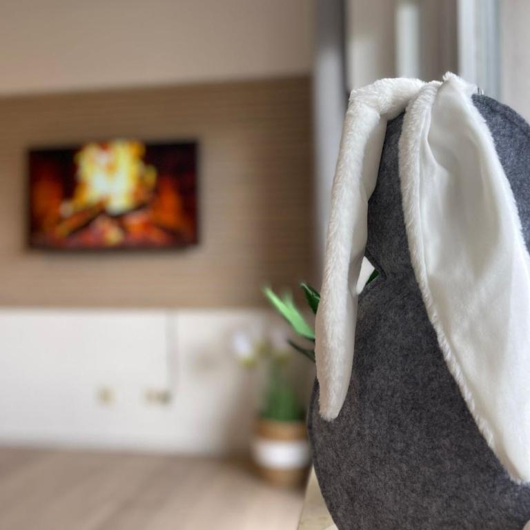 BERGflair inkl. Oberstaufen PLUS - Appartamento con 1 Camera da Letto - 3