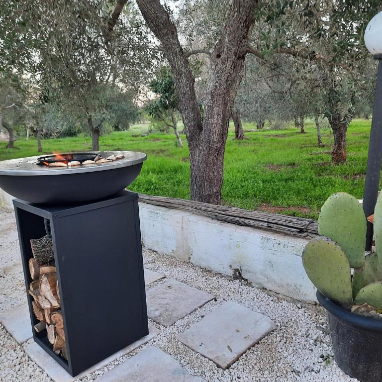 Casa Trullo Bianco: Casa Limone - Camera Matrimoniale con Bagno Privato - 24