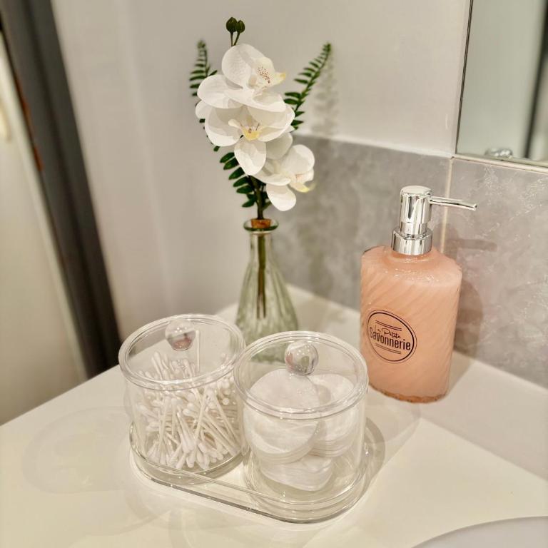Le Bohème T2 cœur de ville Sète - Appartement 1 Chambre - 17