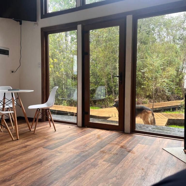 Panigal - Two-Bedroom Apartment - 12