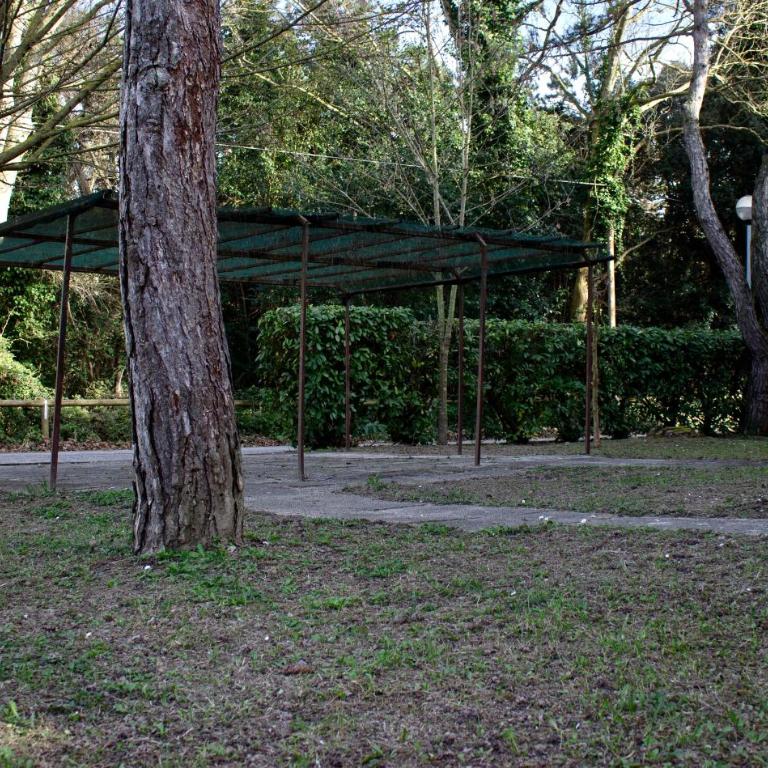 Villa Giorgio 4 Terrazza Privata - Appartamento con 2 Camere da Letto - 23
