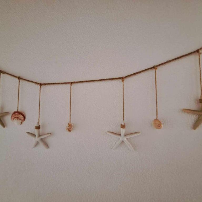 Appartement climatisé 3 pièces pour 6 personnes avec terrasse et jardin à Marseillan - FR-1-326-642 - Appartement (6 Adultes) - 10