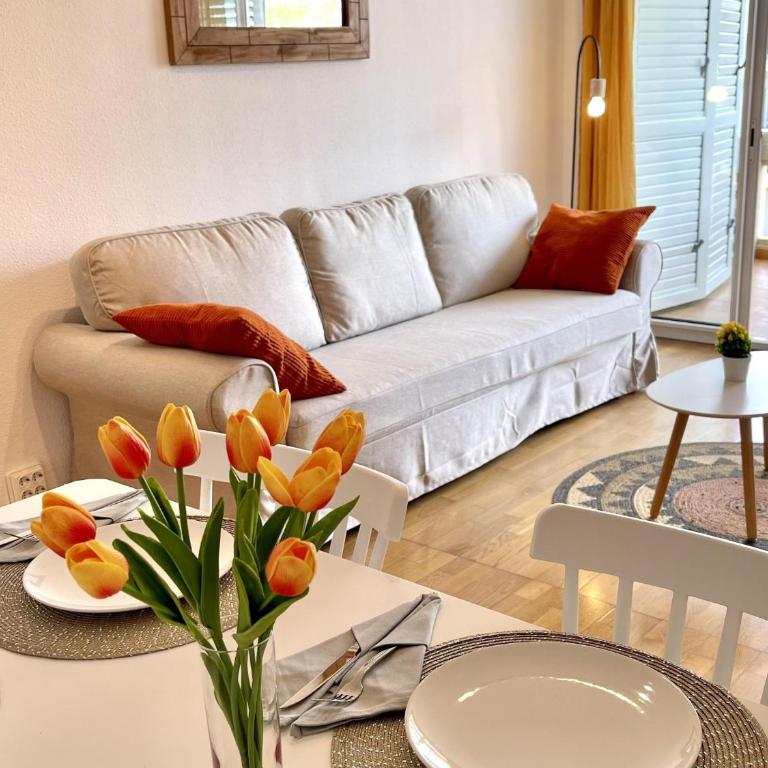 APARTBEACH CYE 6 II y BONITAS VISTAS MAR - Apartamento - 22