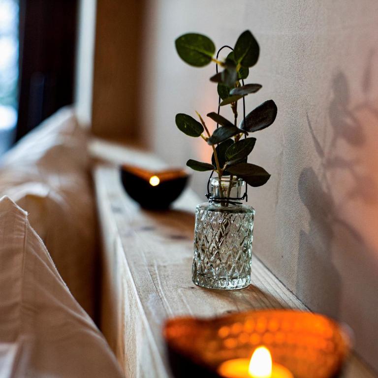 Eiger Mountain & Soul Resort - Junior Suite - 1