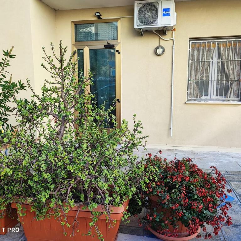 LOCAZIONE TURISTICA via S.Anna - Appartamento con 1 Camera da Letto - 2