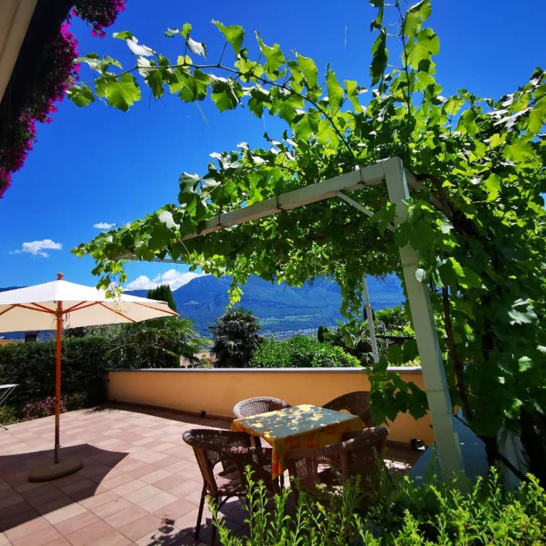 Ferienhof Franzelin - Apartamento con terraza - 10