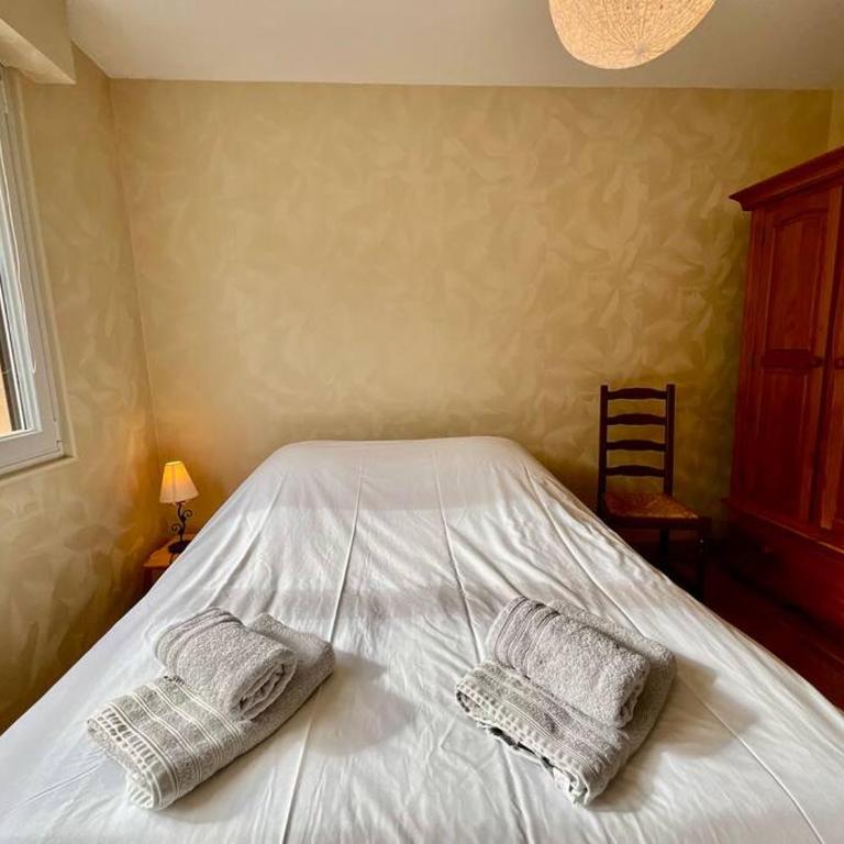 Les Violettes, bel appartement au centre-ville - Appartement 1 Chambre - 6