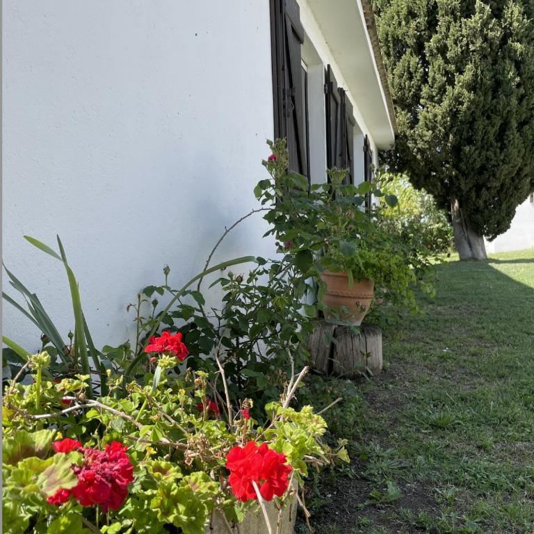Manade BEC - Villa mit 2 Schlafzimmern - 9